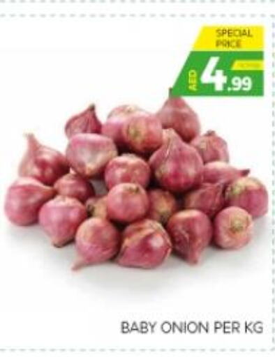  Onion  in الامارات السبع سوبر ماركت in الإمارات العربية المتحدة , الامارات - أبو ظبي
