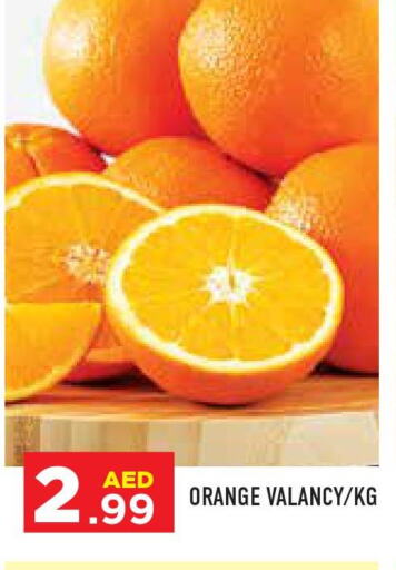  Orange  in سنابل بني ياس in الإمارات العربية المتحدة , الامارات - أبو ظبي