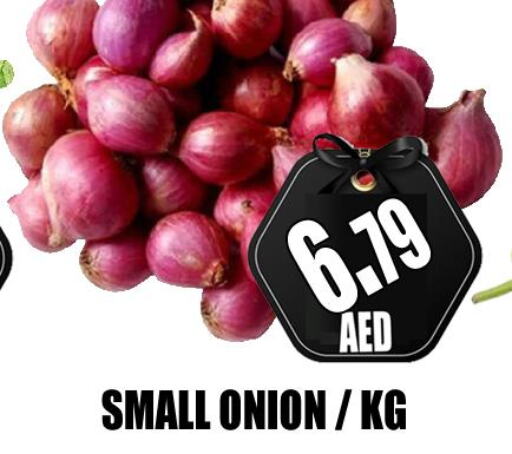  Onion  in GRAND MAJESTIC HYPERMARKET in الإمارات العربية المتحدة , الامارات - أبو ظبي