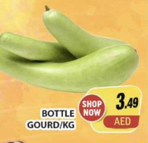 Gourd  in Al Madina  in UAE - Dubai