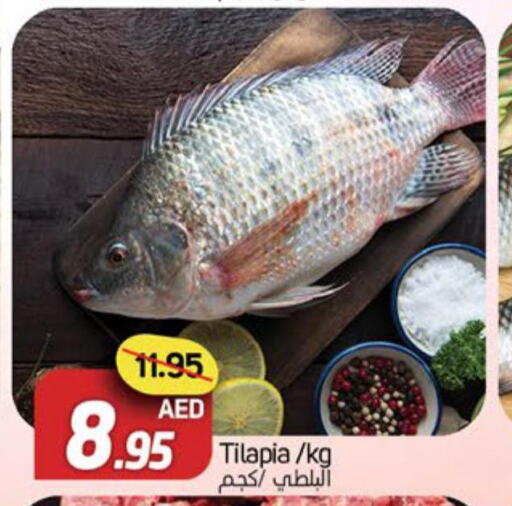  Tuna  in Souk Al Mubarak Hypermarket in UAE - Sharjah / Ajman