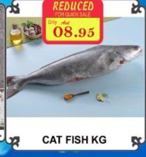  King Fish  in Majestic Supermarket in UAE - Abu Dhabi