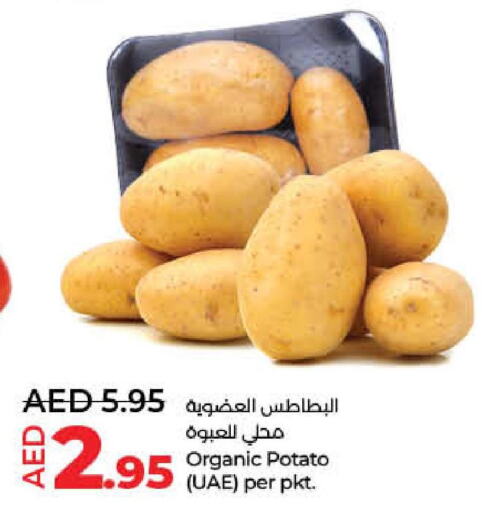  Potato  in لولو هايبرماركت in الإمارات العربية المتحدة , الامارات - أم القيوين‎