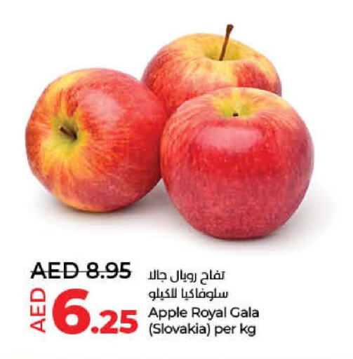  Apples  in لولو هايبرماركت in الإمارات العربية المتحدة , الامارات - دبي