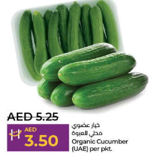  Cucumber  in لولو هايبرماركت in الإمارات العربية المتحدة , الامارات - دبي