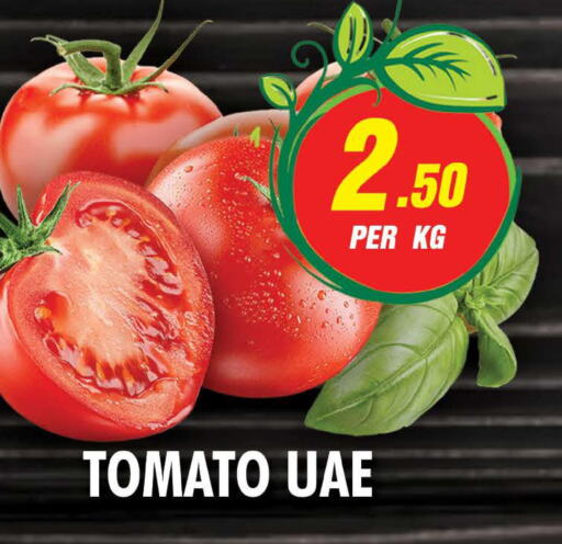  Tomato  in نايت تو نايت in الإمارات العربية المتحدة , الامارات - الشارقة / عجمان