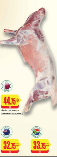  Mutton / Lamb  in Al Meera in Qatar - Al Khor