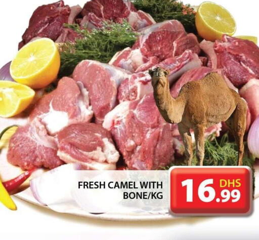  Camel meat  in جراند هايبر ماركت in الإمارات العربية المتحدة , الامارات - الشارقة / عجمان