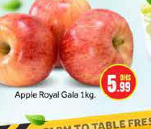  Apples  in Azhar Al Madina Hypermarket in UAE - Dubai
