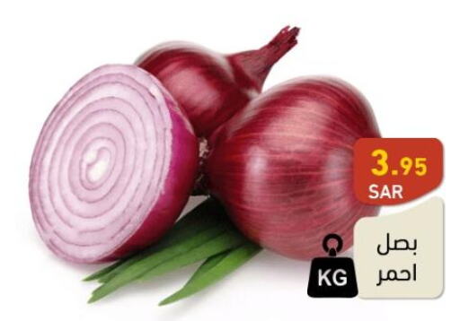  Onion  in أسواق رامز in مملكة العربية السعودية, السعودية, سعودية - الرياض