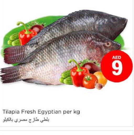  Tuna  in Nesto Hypermarket in UAE - Al Ain