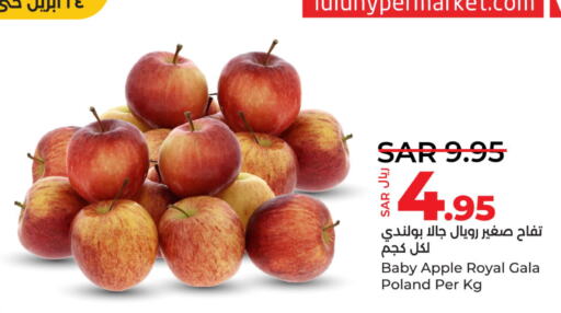  Apples  in لولو هايبرماركت in مملكة العربية السعودية, السعودية, سعودية - المنطقة الشرقية
