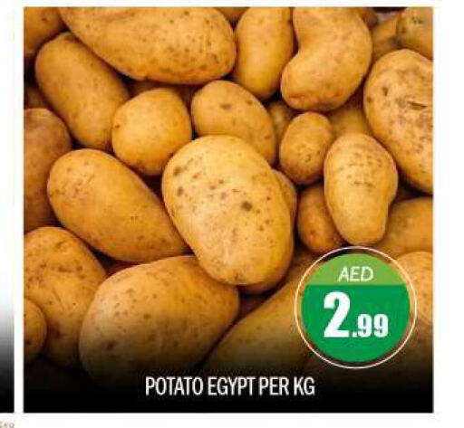  Potato  in BIGmart in UAE - Abu Dhabi