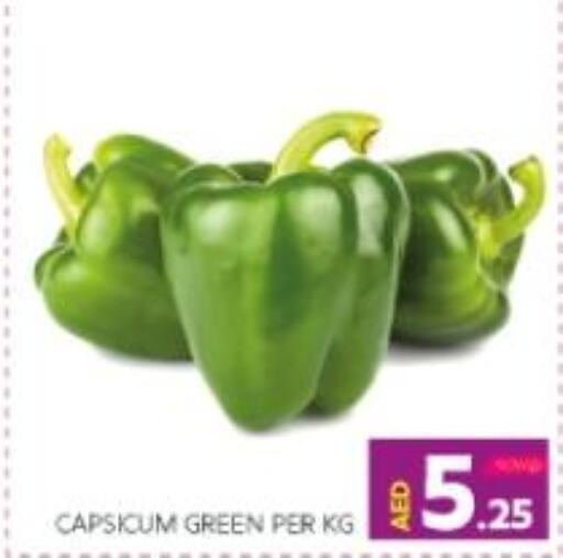  Chilli / Capsicum  in Seven Emirates Supermarket in UAE - Abu Dhabi