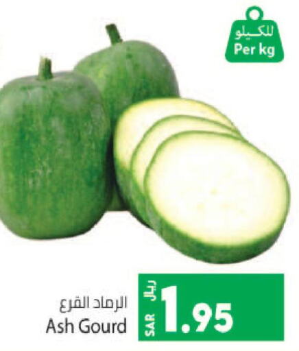 Gourd  in Kabayan Hypermarket in KSA, Saudi Arabia, Saudi - Jeddah