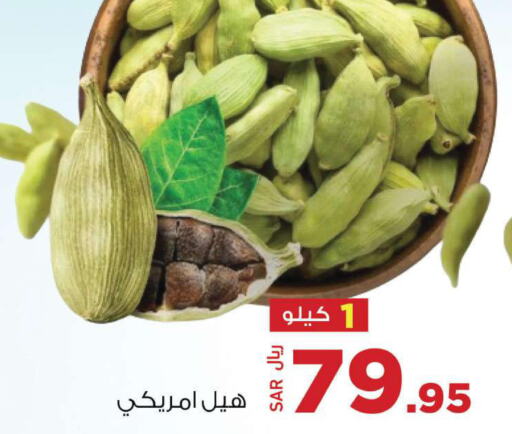  Dried Herbs  in Supermarket Stor in KSA, Saudi Arabia, Saudi - Riyadh