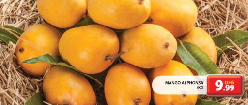 Mango   in جراند هايبر ماركت in الإمارات العربية المتحدة , الامارات - الشارقة / عجمان