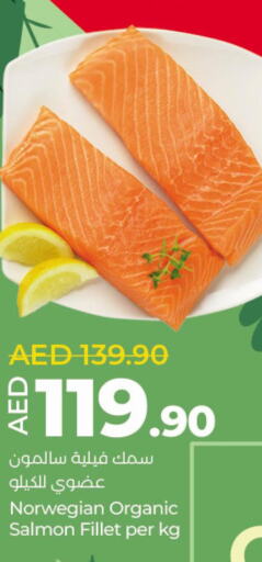  Tuna  in لولو هايبرماركت in الإمارات العربية المتحدة , الامارات - ٱلْعَيْن‎