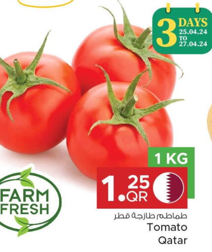  Tomato  in مركز التموين العائلي in قطر - الدوحة