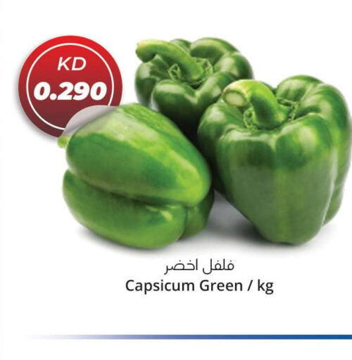  Chilli / Capsicum  in 4 SaveMart in Kuwait - Kuwait City