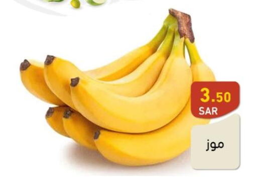  Banana  in Aswaq Ramez in KSA, Saudi Arabia, Saudi - Riyadh