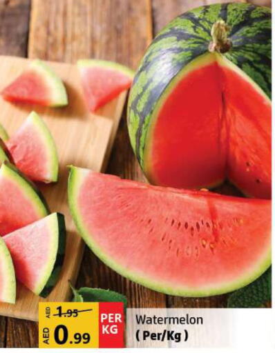  Watermelon  in Al Hooth in UAE - Sharjah / Ajman