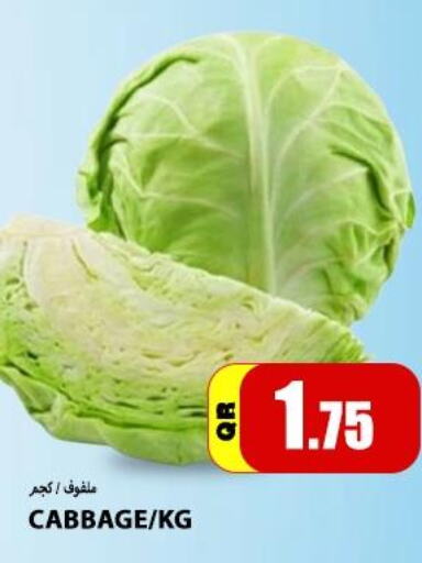  Cabbage  in Gourmet Hypermarket in Qatar - Al-Shahaniya