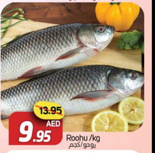  Tuna  in Souk Al Mubarak Hypermarket in UAE - Sharjah / Ajman
