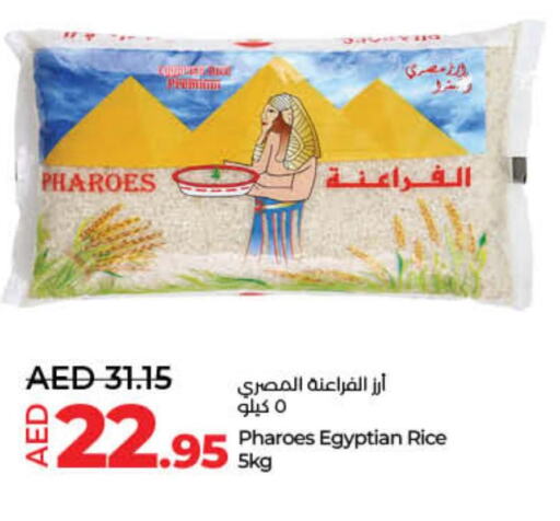 Egyptian / Calrose Rice  in لولو هايبرماركت in الإمارات العربية المتحدة , الامارات - رَأْس ٱلْخَيْمَة