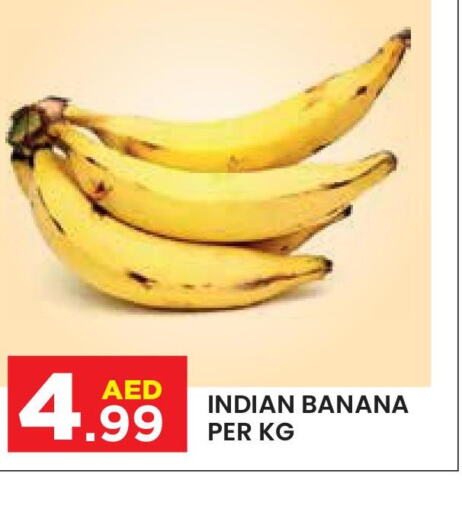  Banana  in سنابل بني ياس in الإمارات العربية المتحدة , الامارات - ٱلْعَيْن‎