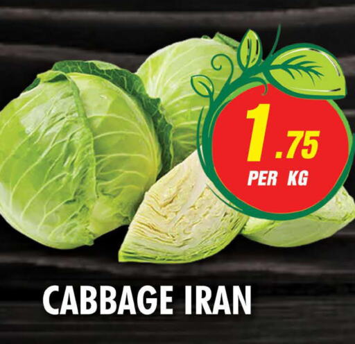  Cabbage  in NIGHT TO NIGHT DEPARTMENT STORE in UAE - Sharjah / Ajman