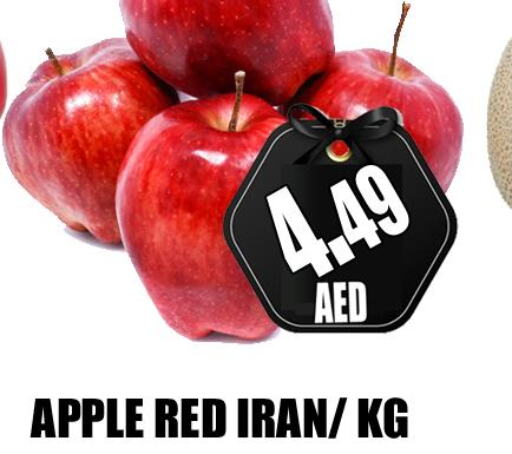  Apples  in GRAND MAJESTIC HYPERMARKET in الإمارات العربية المتحدة , الامارات - أبو ظبي