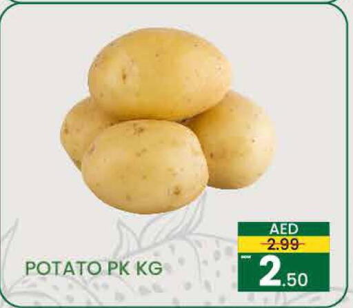  Potato  in مدهور سوبرماركت in الإمارات العربية المتحدة , الامارات - الشارقة / عجمان