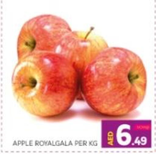  Apples  in الامارات السبع سوبر ماركت in الإمارات العربية المتحدة , الامارات - أبو ظبي