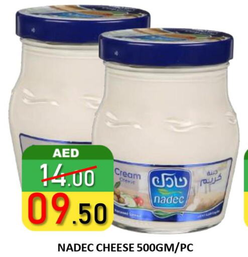 NADEC Cream Cheese  in رويال جلف هايبرماركت in الإمارات العربية المتحدة , الامارات - أبو ظبي