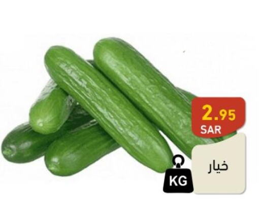  Cucumber  in Aswaq Ramez in KSA, Saudi Arabia, Saudi - Tabuk