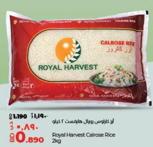  Egyptian / Calrose Rice  in LuLu Hypermarket in Bahrain