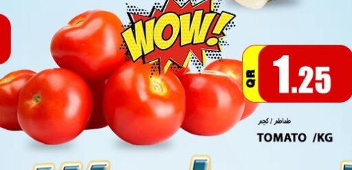  Tomato  in Gourmet Hypermarket in Qatar - Umm Salal