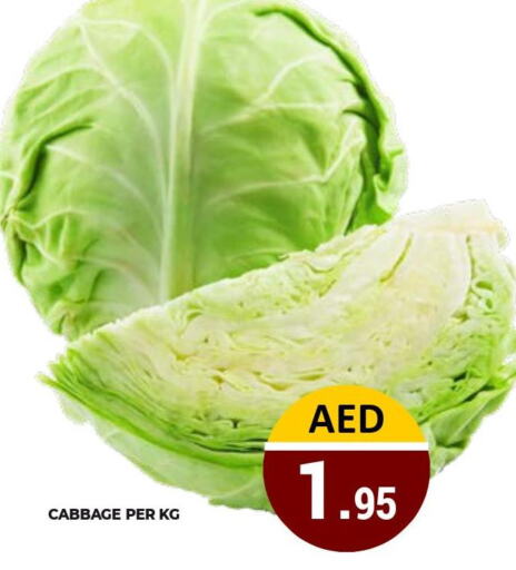  Cabbage  in كيرالا هايبرماركت in الإمارات العربية المتحدة , الامارات - رَأْس ٱلْخَيْمَة