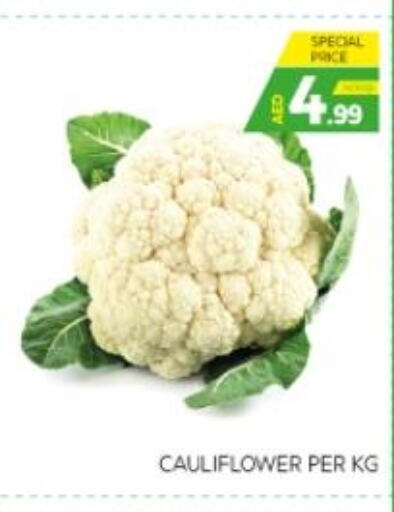  Cauliflower  in Seven Emirates Supermarket in UAE - Abu Dhabi