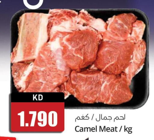  Camel meat  in 4 سيفمارت in الكويت - مدينة الكويت