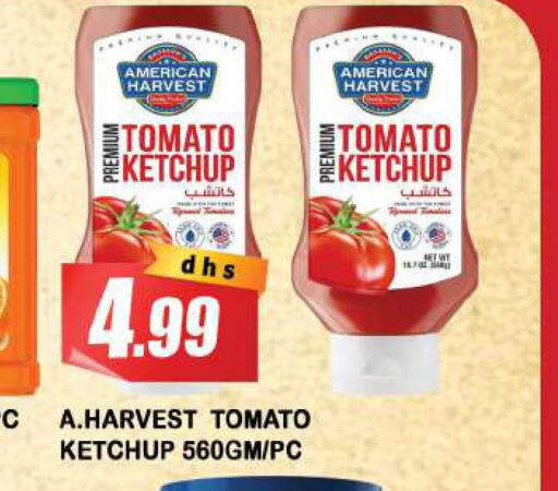 AMERICAN HARVEST Tomato Ketchup  in أزهر المدينة هايبرماركت in الإمارات العربية المتحدة , الامارات - الشارقة / عجمان