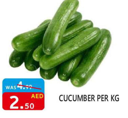  Cucumber  in United Hypermarket in UAE - Dubai