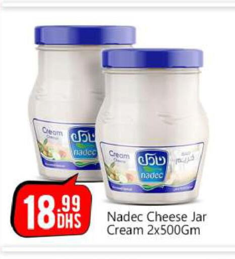 NADEC Cream Cheese  in BIGmart in UAE - Abu Dhabi