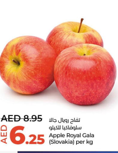  Apples  in لولو هايبرماركت in الإمارات العربية المتحدة , الامارات - ٱلْعَيْن‎