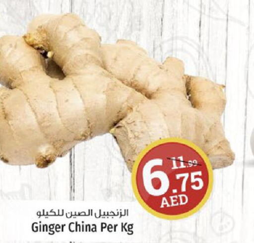  Ginger  in Kenz Hypermarket in UAE - Sharjah / Ajman