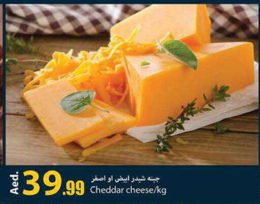  Cheddar Cheese  in Rawabi Market Ajman in UAE - Sharjah / Ajman
