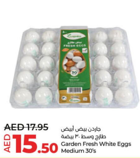 HAYATNA Full Cream Milk  in لولو هايبرماركت in الإمارات العربية المتحدة , الامارات - أم القيوين‎