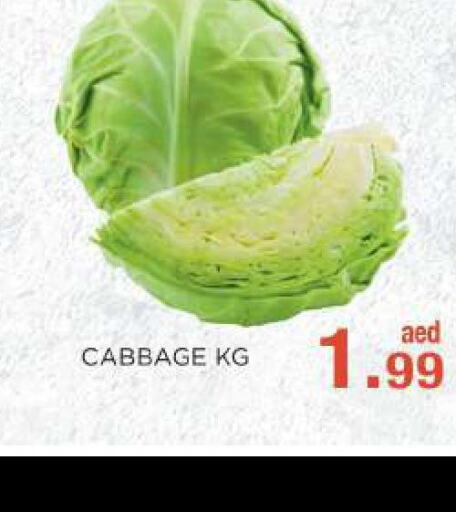  Cabbage  in C.M. supermarket in UAE - Abu Dhabi