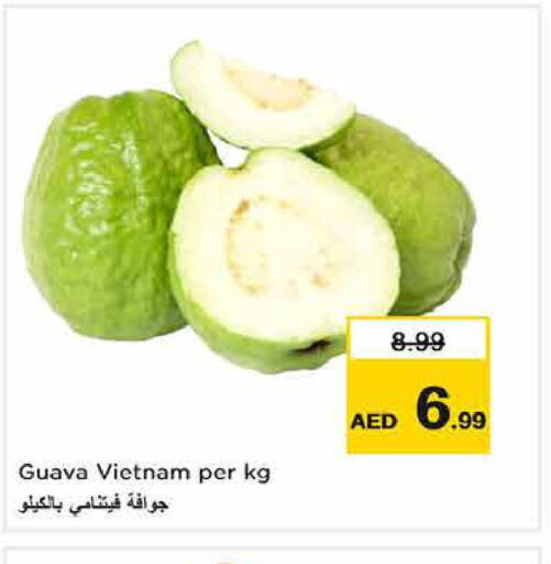  Guava  in Last Chance  in UAE - Sharjah / Ajman